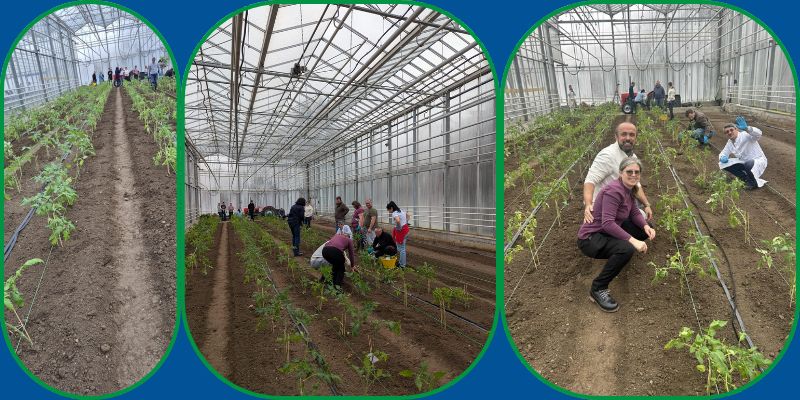 HORTICULTURA CLUJ NAPOCA FACULTATI