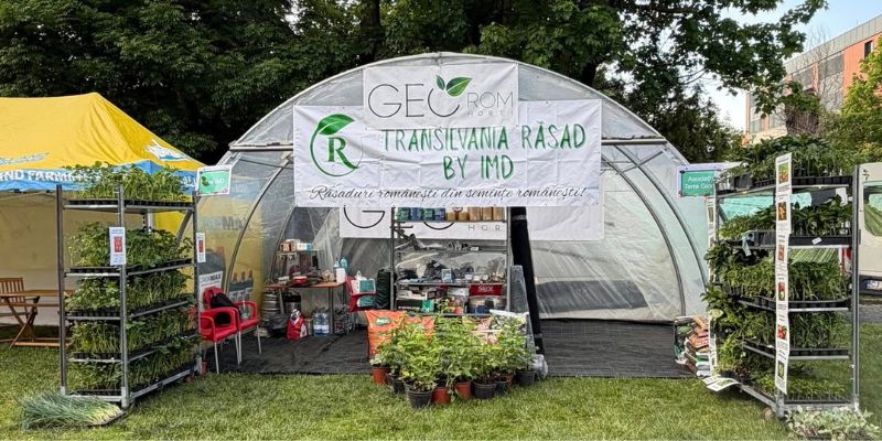 transilvania rasad by imd rasaduri legume cluj